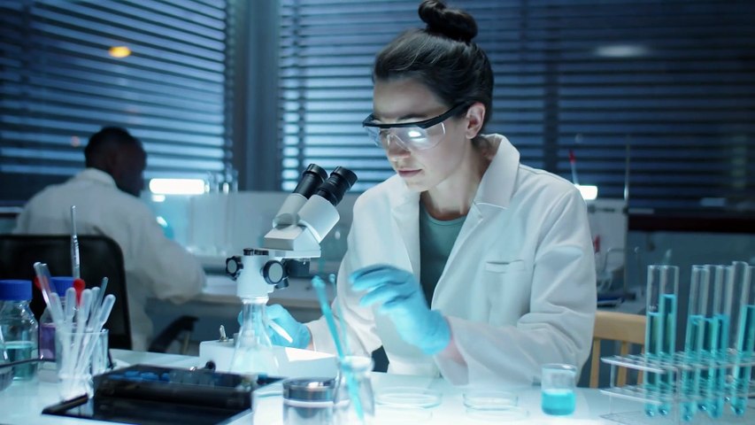 Referendum, oggi a Roma corteo per il No: "Contro il governo e la guerra". Bruciata immagine Meloni con Nordio al guinzaglio